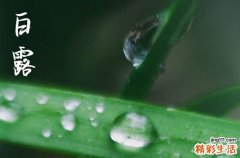 2023白露节气穿什么衣服合适 白露穿衣指数指南