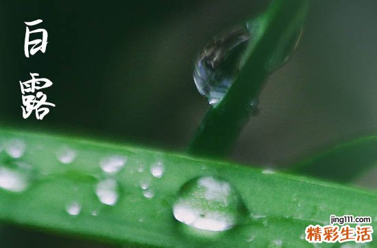 2023白露节气穿什么衣服合适 白露穿衣指数指南