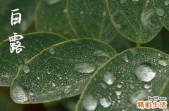 白露节气有什么象征意义