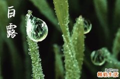 今天是白露节气吗2023年