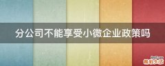 分公司不能享受小微企业政策吗