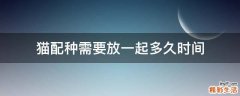 猫配种需要放一起多久时间