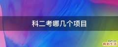 科二考哪几个项目