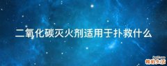 二氧化碳灭火剂适用于扑救什么