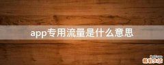 app专用流量是什么意思