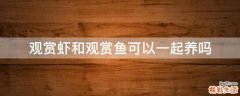 观赏虾和观赏鱼可以一起养吗