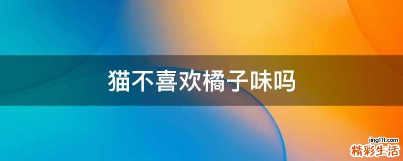 猫不喜欢橘子味吗