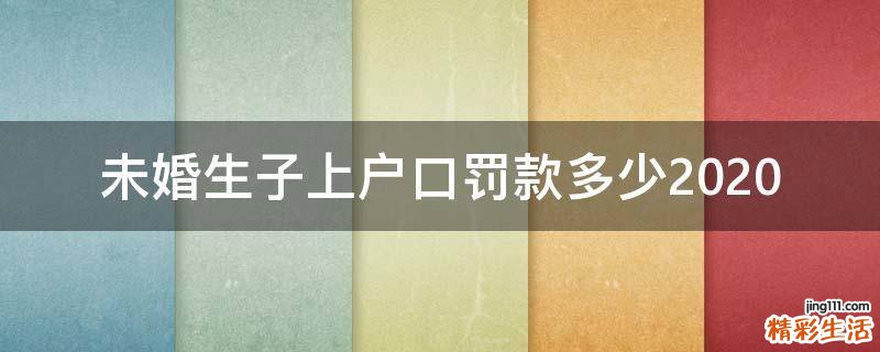 未婚生子上户口罚款多少2020