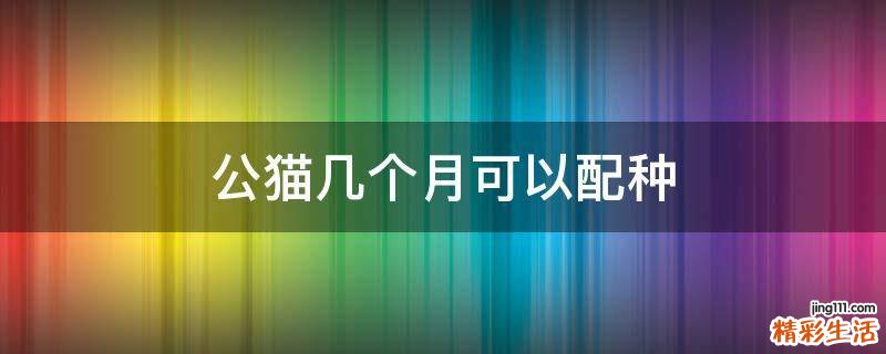 公猫几个月可以配种