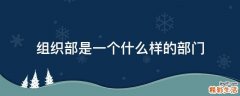 组织部是一个什么样的部门