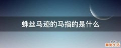 蛛丝马迹的马指的是什么