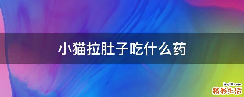 小猫拉肚子吃什么药