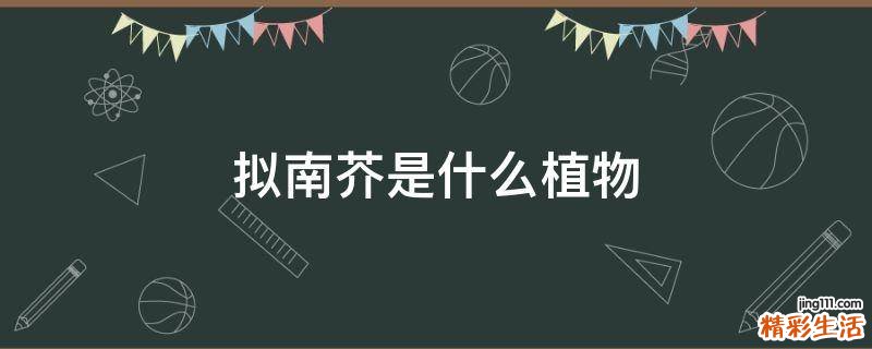 拟南芥是什么植物