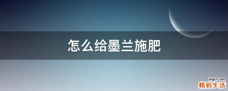怎么给墨兰施肥