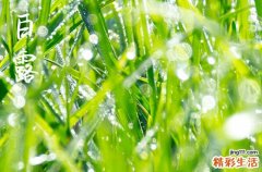 今日几时几分白露,2023白露是哪天几点几分