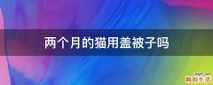 两个月的猫用盖被子吗