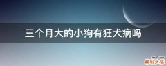 三个月大的小狗有狂犬病吗