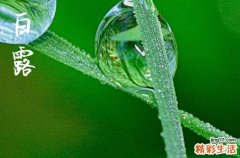 今天什么时间是白露,2023白露具体时间