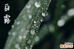 明天白露是什么时间2023年