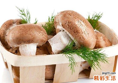 鲜香菇放黑了还能吃吗