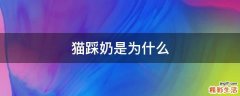 猫踩奶是为什么
