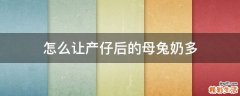 怎么让产仔后的母兔奶多