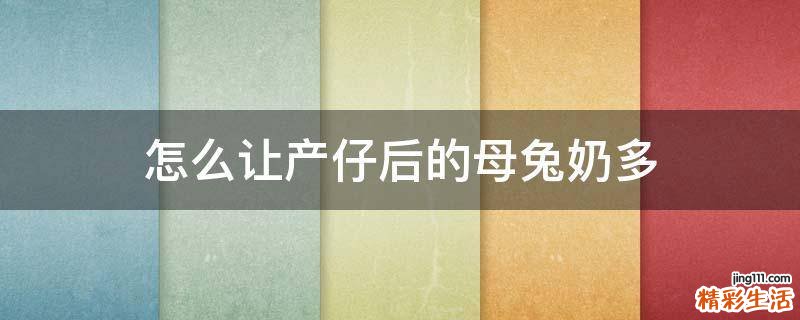 怎么让产仔后的母兔奶多
