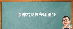 原神岩龙蜥在哪里多