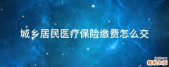 城乡居民医疗保险缴费怎么交
