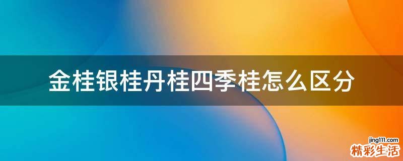 金桂银桂丹桂四季桂怎么区分