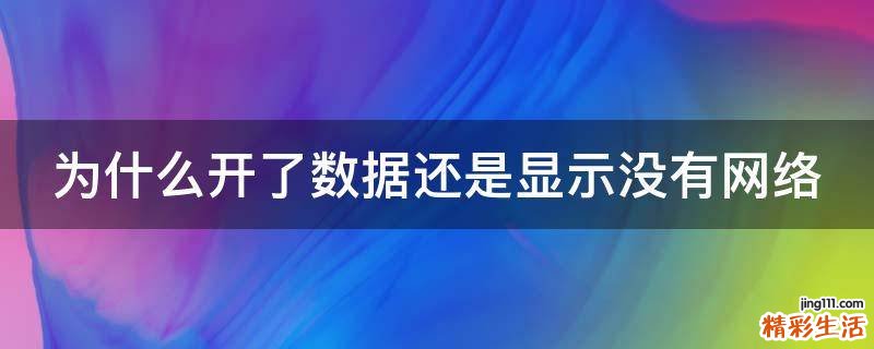 为什么开了数据还是显示没有网络