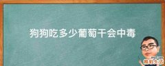 狗狗吃多少葡萄干会中毒
