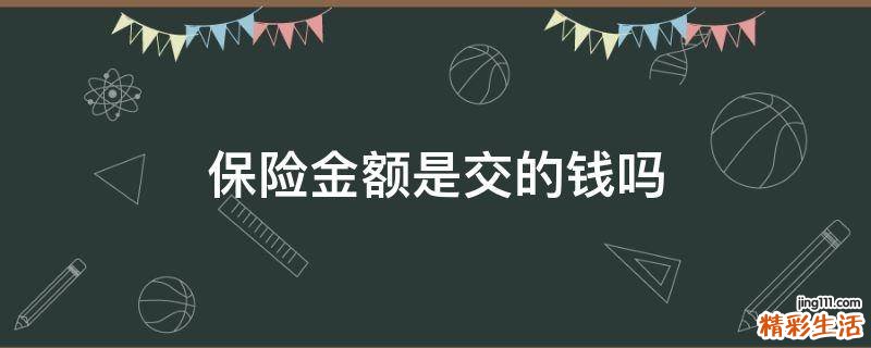 保险金额是交的钱吗
