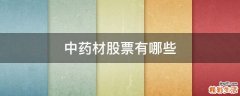 中药材股票有哪些