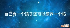 自己有一个孩子还可以领养一个吗