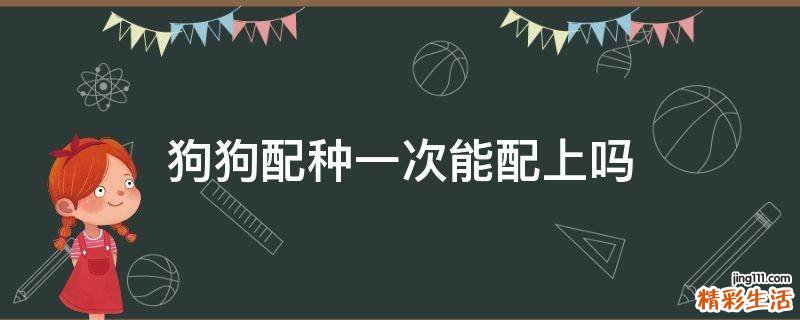 狗狗配种一次能配上吗