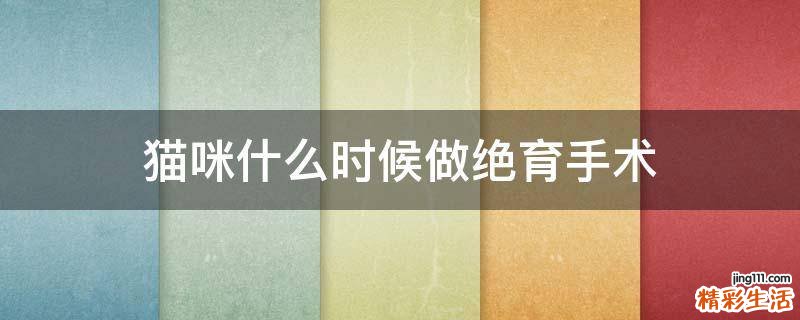 猫咪什么时候做绝育手术
