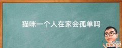 猫咪一个人在家会孤单吗
