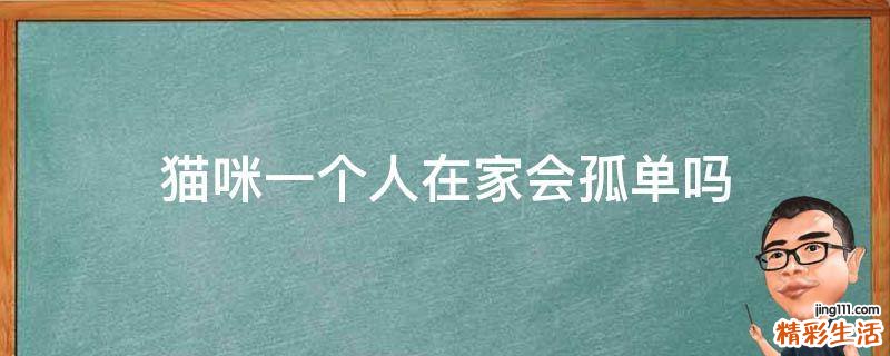 猫咪一个人在家会孤单吗