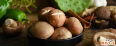 鲜香菇放干了可以吃吗 吃鲜香菇好是干香菇好