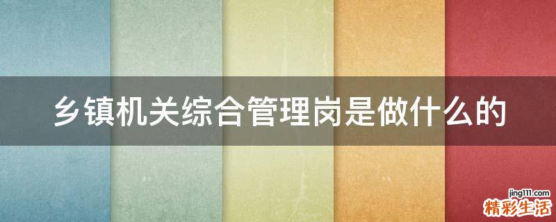 乡镇机关综合管理岗是做什么的