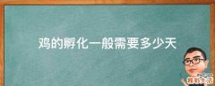 鸡的孵化一般需要多少天