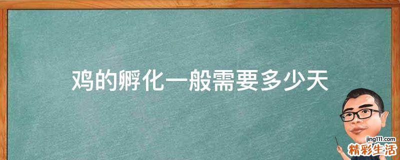 鸡的孵化一般需要多少天