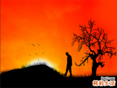 肝纤维化的血清学诊断