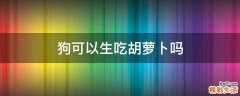 狗可以生吃胡萝卜吗