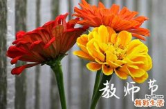 教师节给老师的祝福寄语