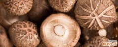 香菇怎么泡发效果好 吃鲜香菇好是干香菇好