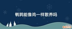 鹌鹑能像鸡一样散养吗