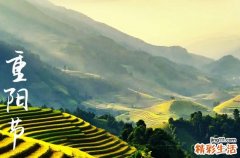 精选200句 重阳节文案句子