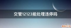 交管12123能处理违停吗